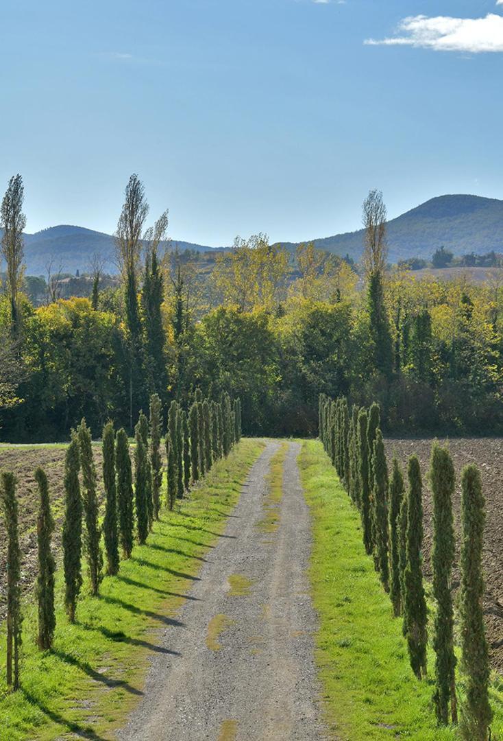 Podere La Querciola Guardistallo Exterior foto